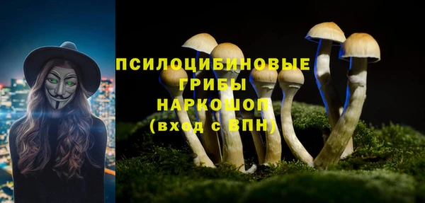 гашик Заволжье