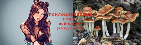 ешки Заволжск