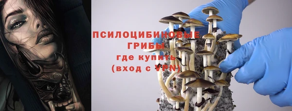 марки lsd Заводоуковск