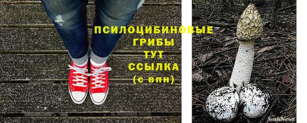 гашик Заволжье