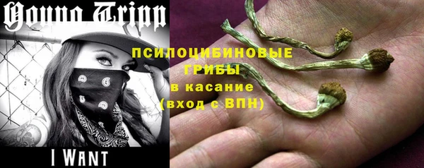марки lsd Заводоуковск