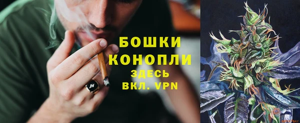 гашик Заволжье