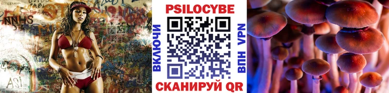 мега онион  Знаменск  Псилоцибиновые грибы ЛСД 