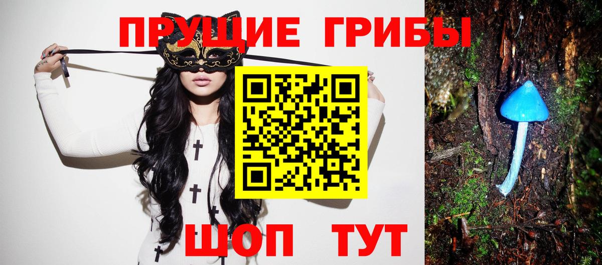 Псилоцибиновые грибы Psilocybe Знаменск
