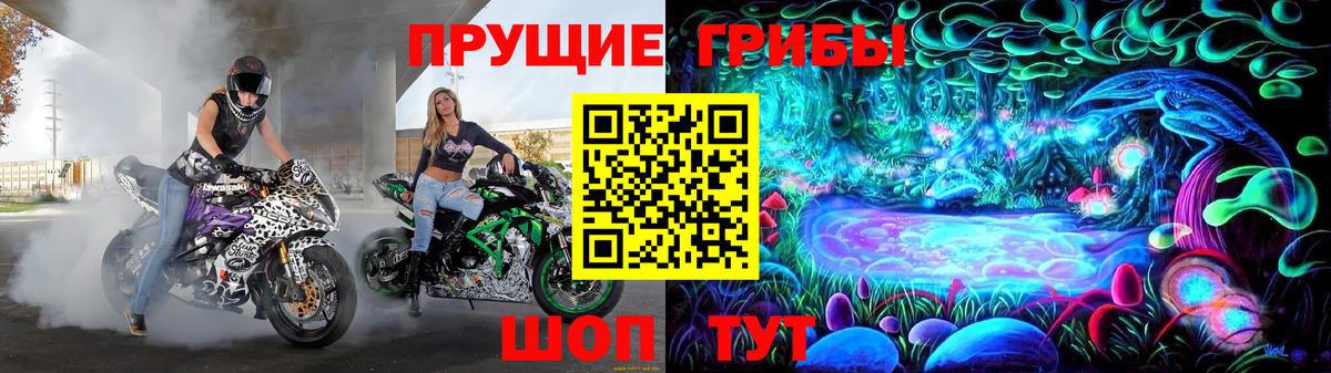 Знаменск  Псилоцибиновые грибы мухоморы  Вход с VPN 